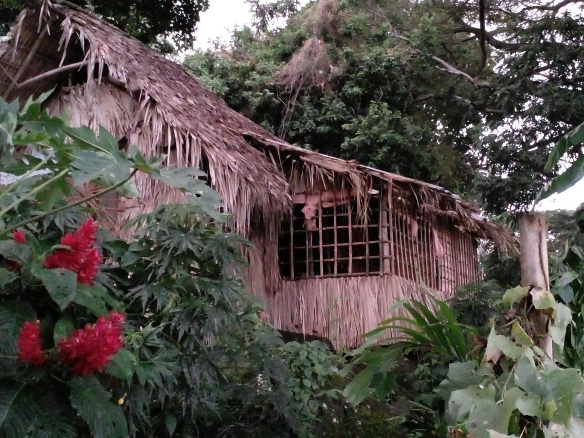 El Bamboo Cabins Balgue Luaran gambar