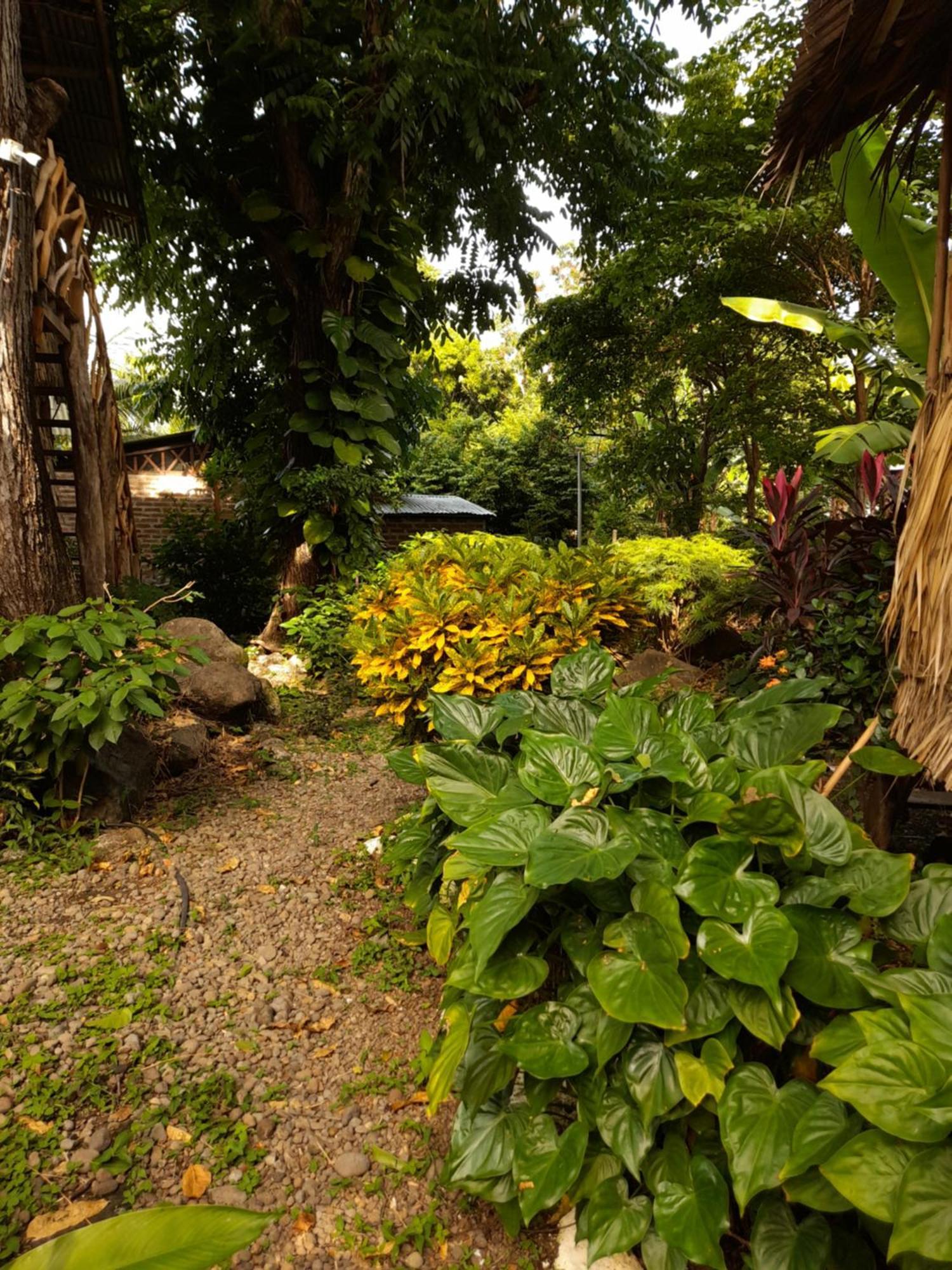 El Bamboo Cabins Balgue Luaran gambar