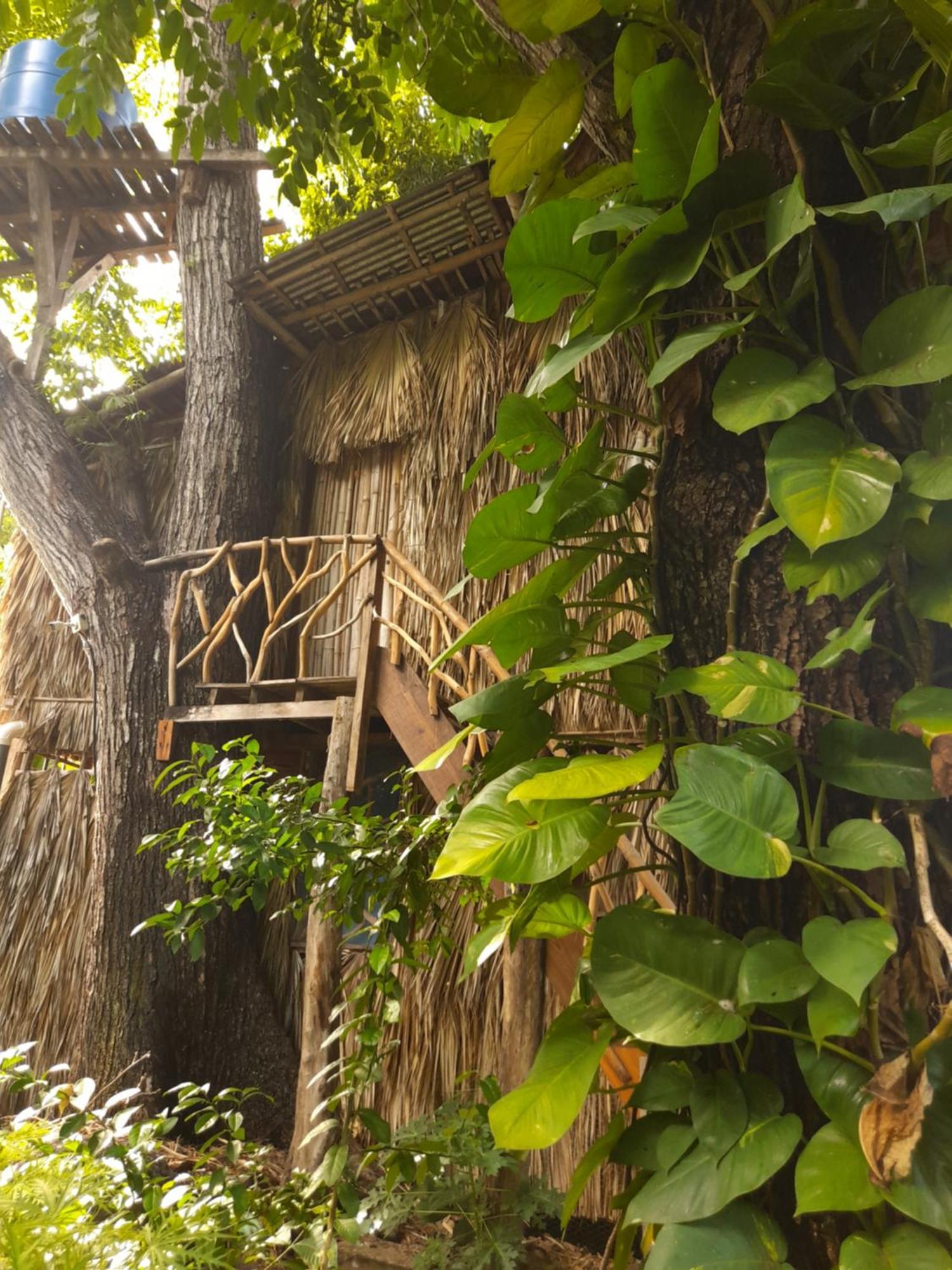 El Bamboo Cabins Balgue Luaran gambar