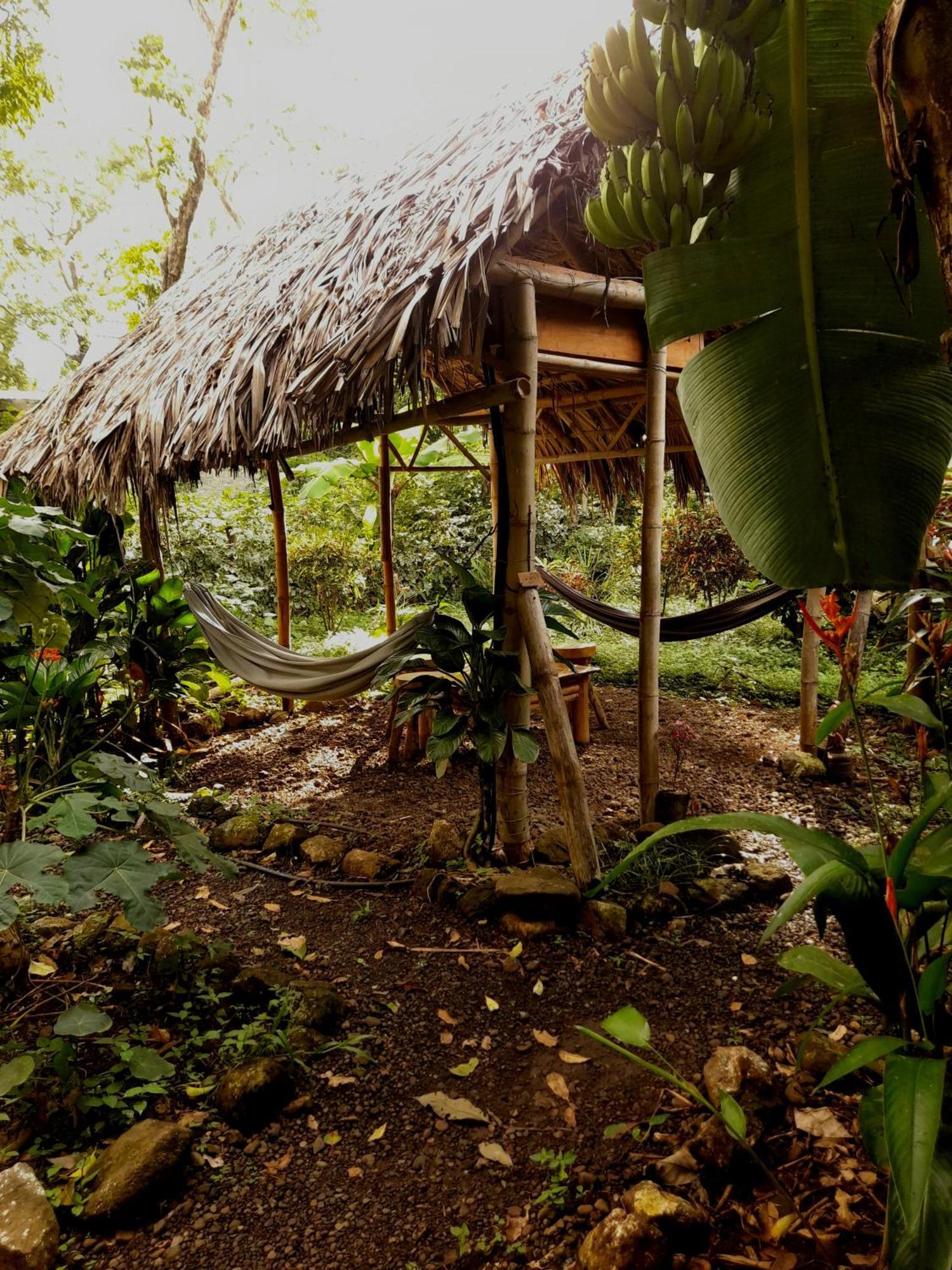 El Bamboo Cabins Balgue Luaran gambar