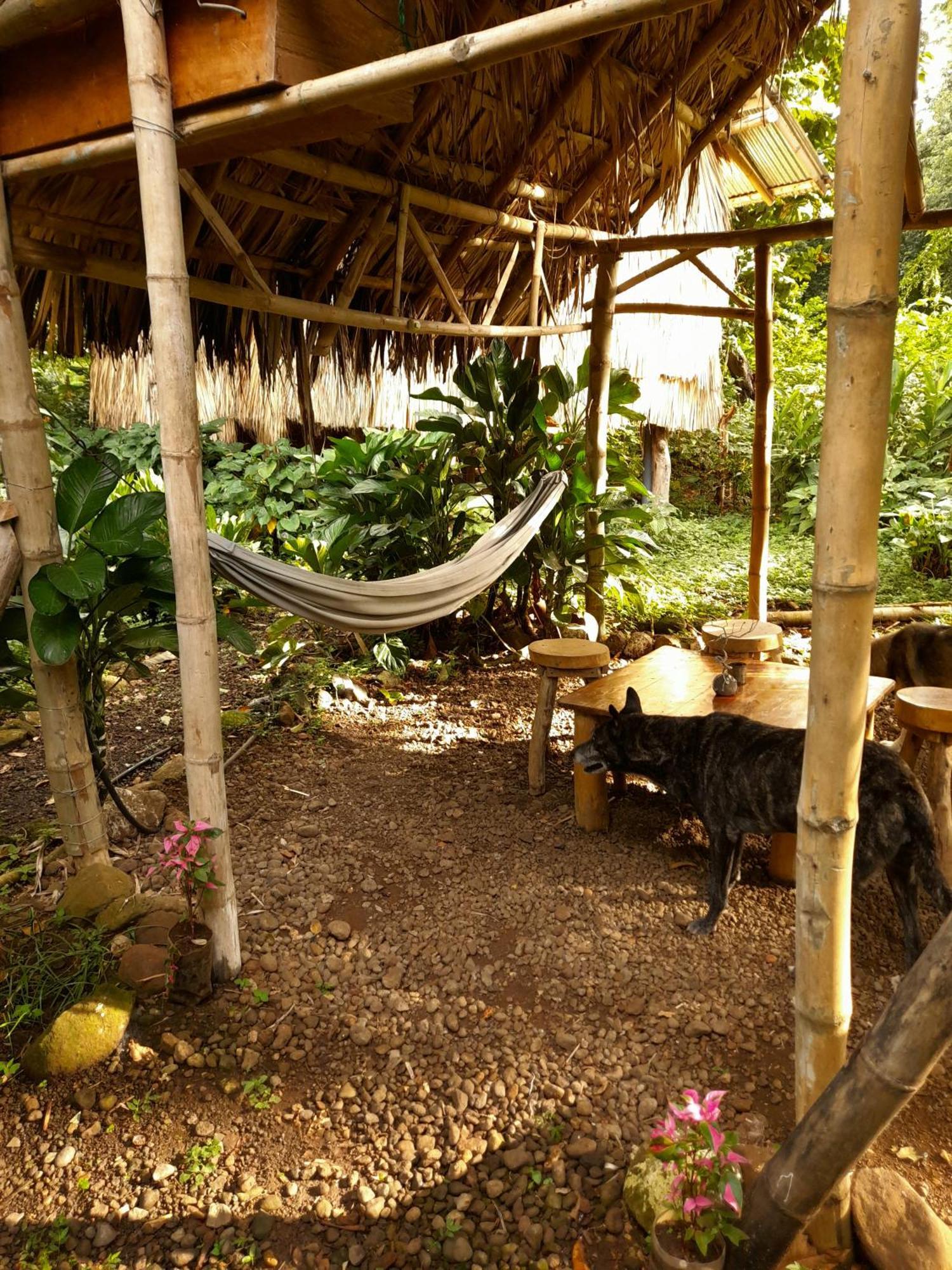 El Bamboo Cabins Balgue Luaran gambar