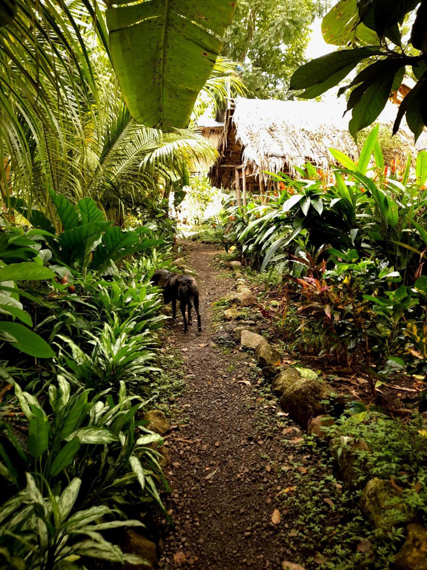 El Bamboo Cabins Balgue Luaran gambar