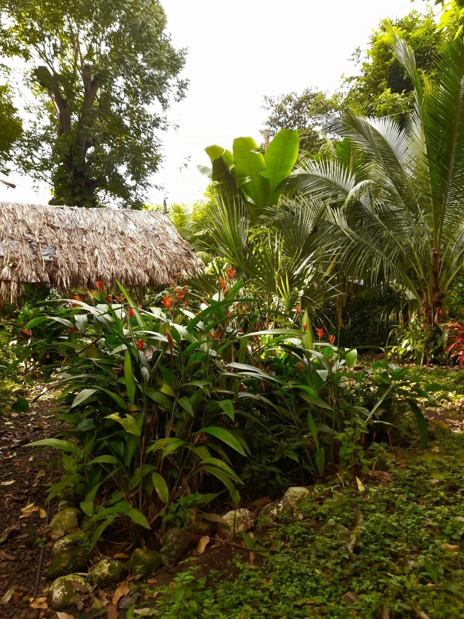 El Bamboo Cabins Balgue Luaran gambar